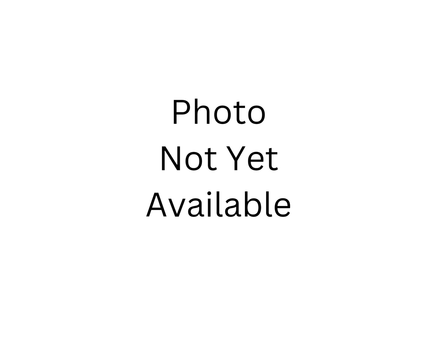 Temple Recommend Holder-Temples