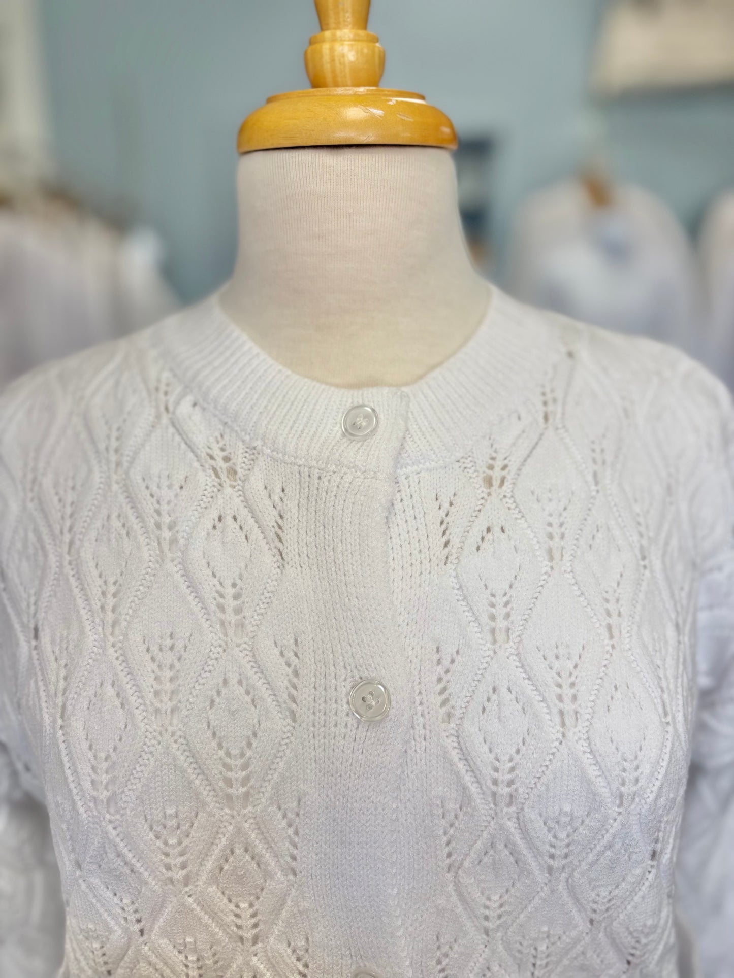 Button Up Cardigan with Hidden Pockets