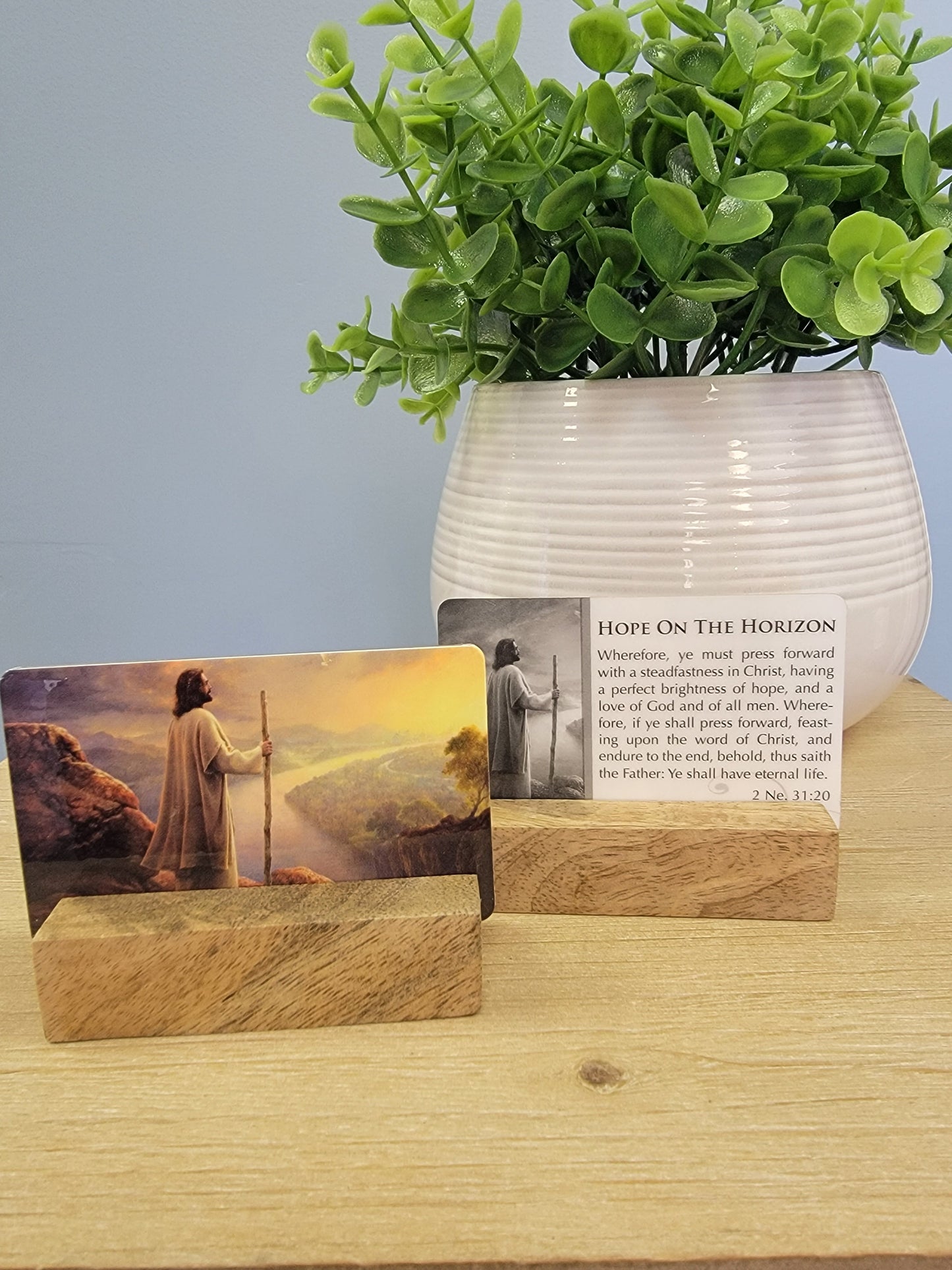 Temple Recommend Holder-Christ