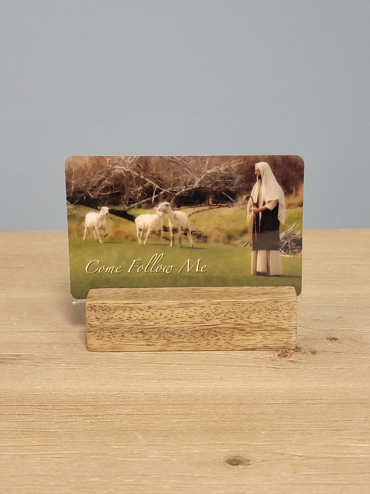 Temple Recommend Holder-Christ